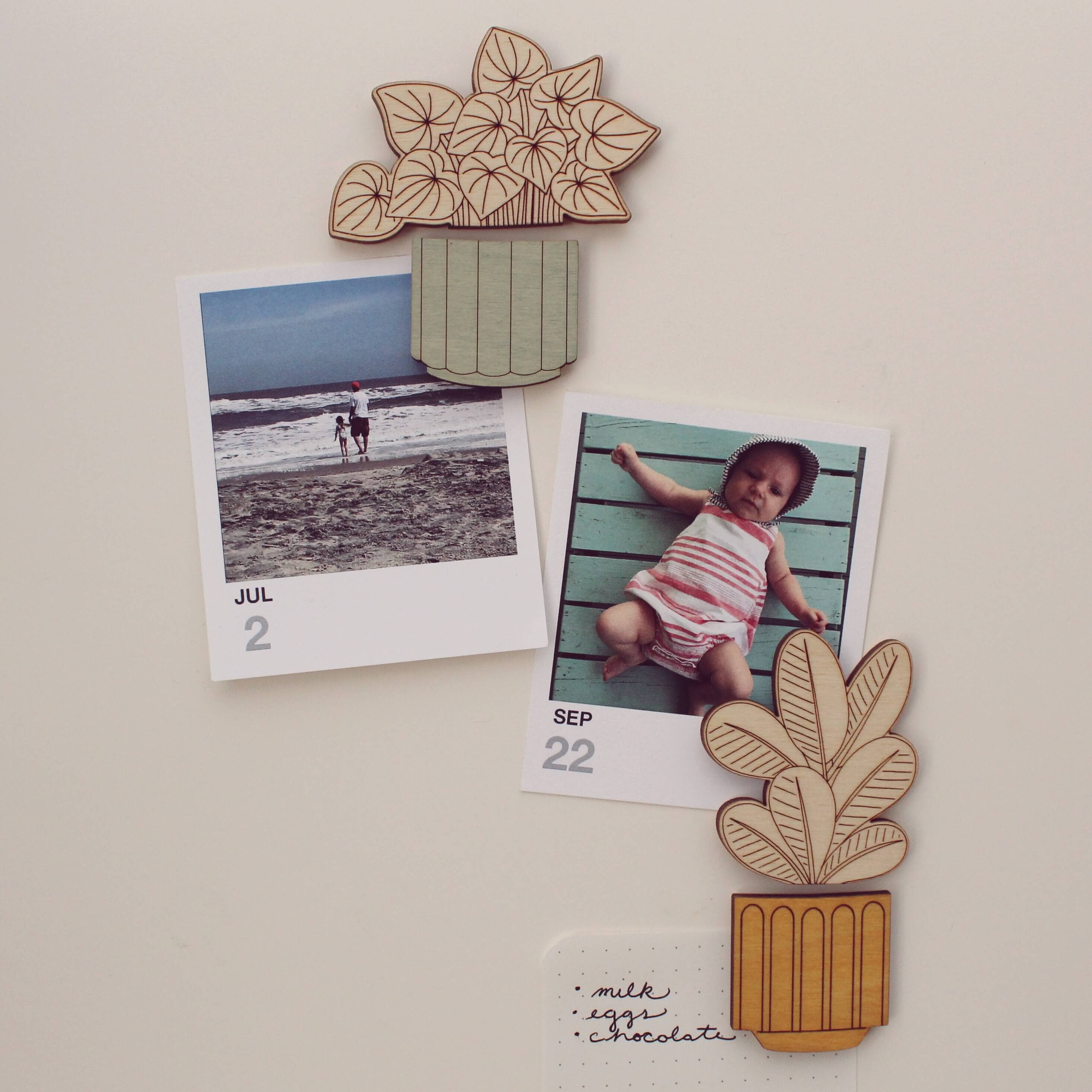 Watermelon Pepromia Wooden Magnets