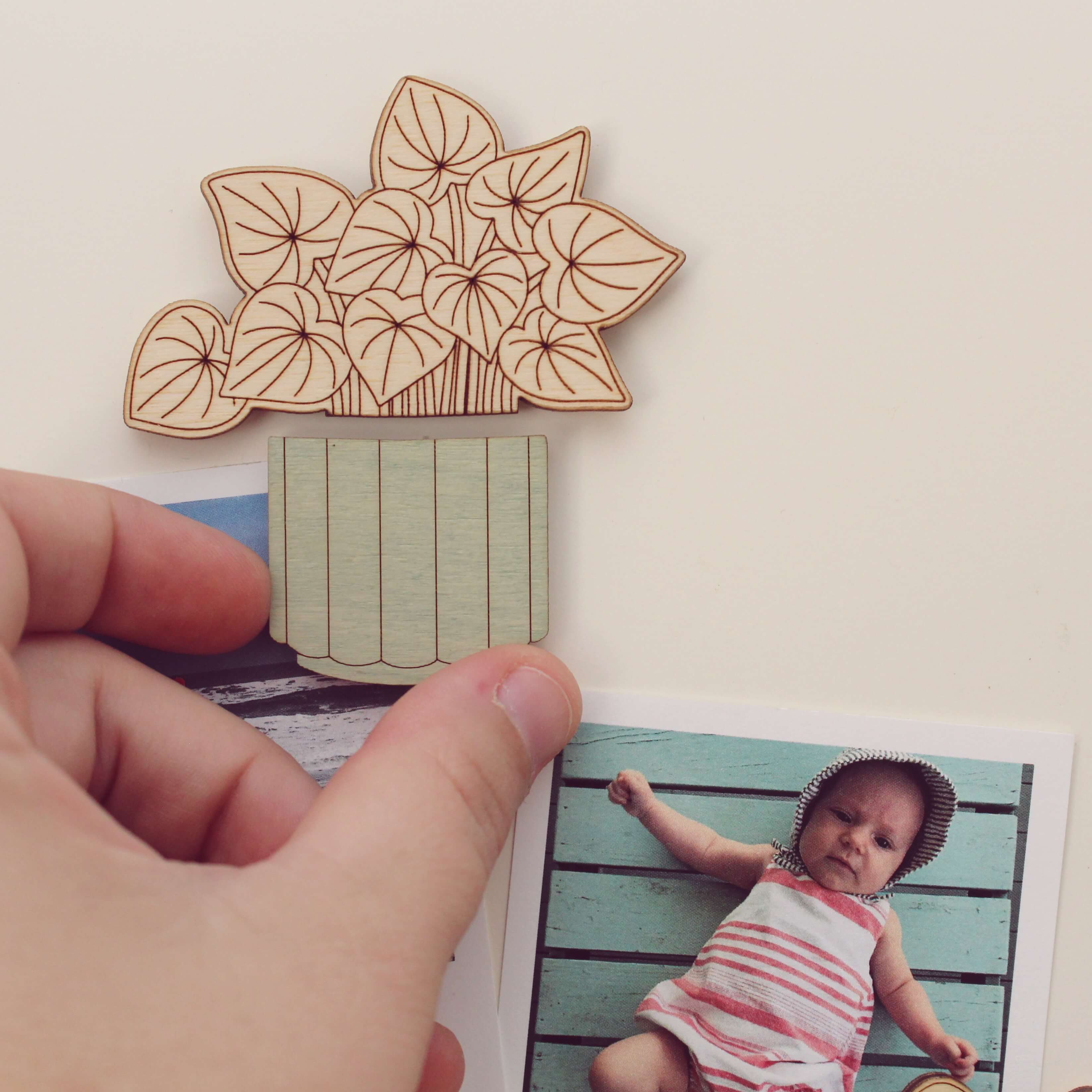 Watermelon Pepromia Wooden Magnets