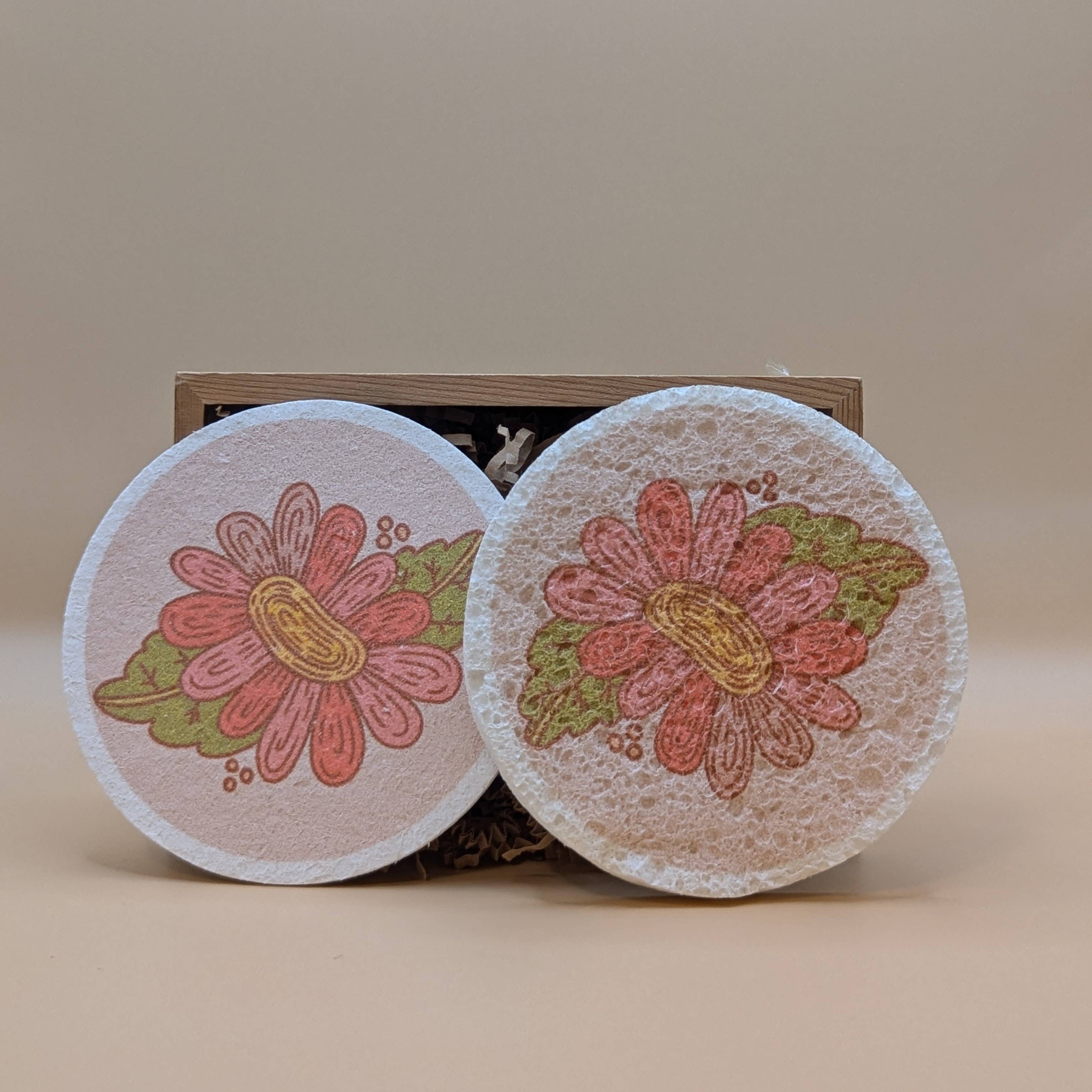 Pop-Up Eco Sponges