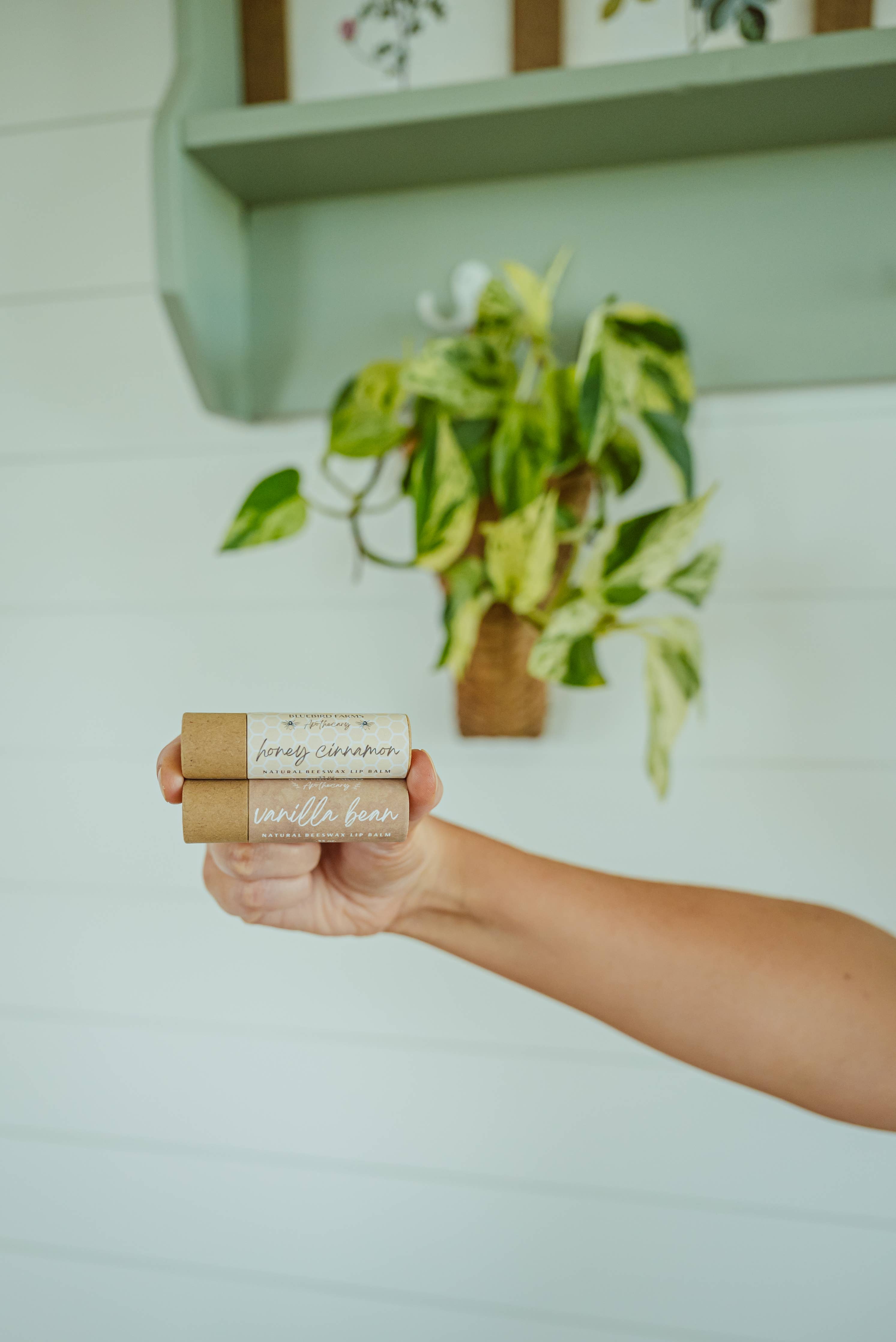Beeswax Lip Balm Plastic-Free | Chapstick | Natural